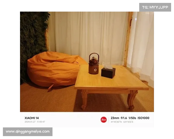 NBA Pick and Roll战术解析与发展趋势探讨