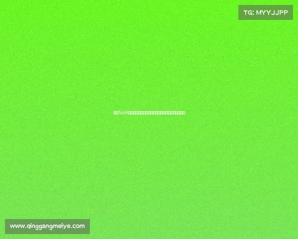 探索NBA球队官网：全面了解球队动态、球员资讯与赛程安排